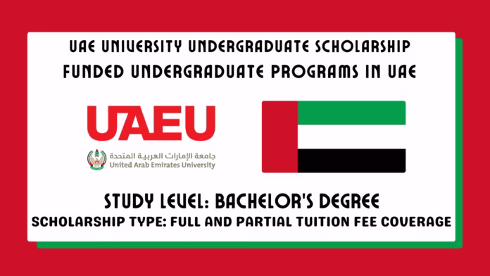 UAE University Undergraduate Scholarship
