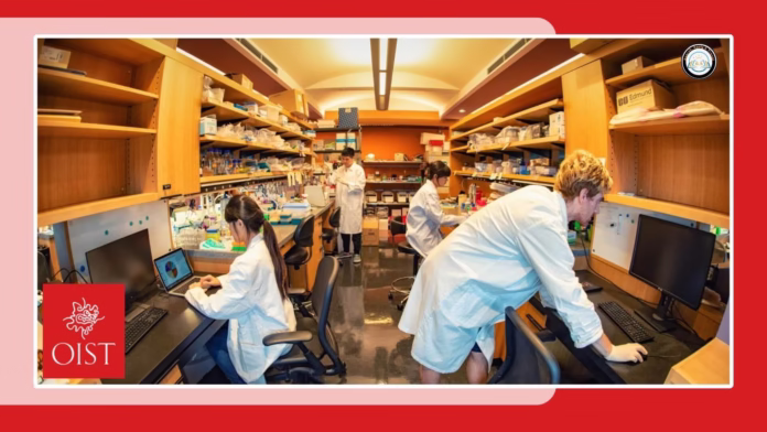 OIST Research Internship Program