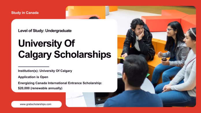 University Of Calgary Scholarships