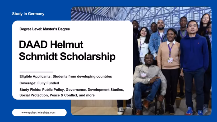DAAD Helmut Schmidt Scholarship