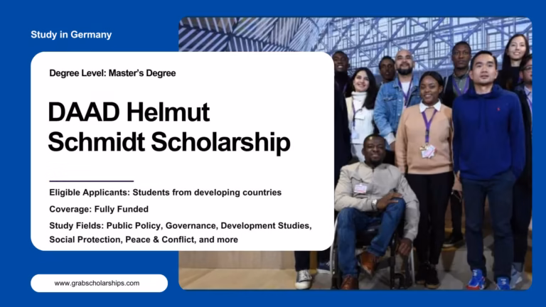 DAAD Helmut Schmidt Scholarship