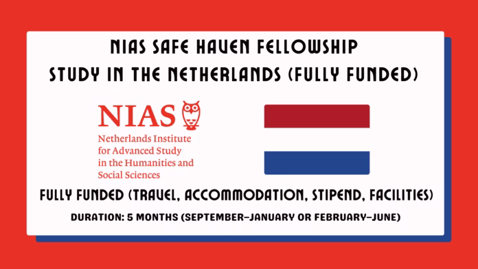 NIAS Safe Haven Fellowship