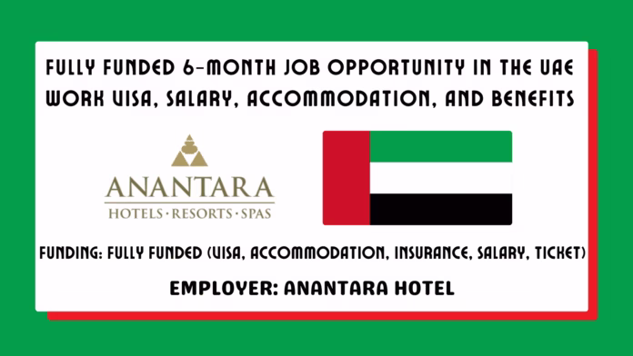 Fully Funded 6-Month Job Opportunity in the UAE